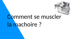 Comment muscler sa mâchoire ?